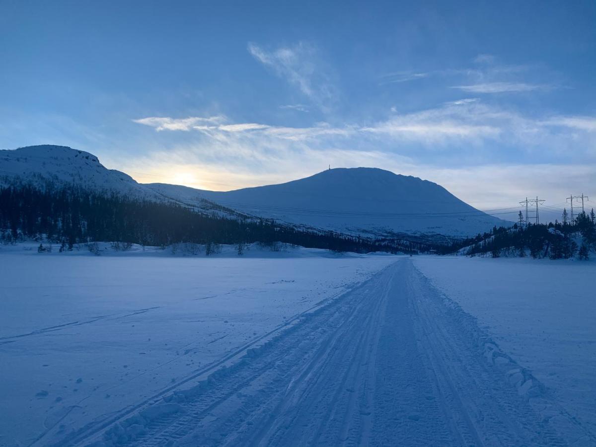 Tveitopark Apartments Rjukan Exteriör bild
